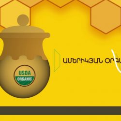 Organic Beekeeping and Organic Honey